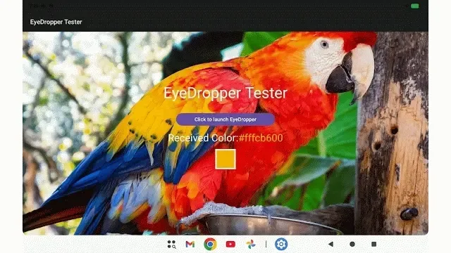 Eydropper_Tester.webp