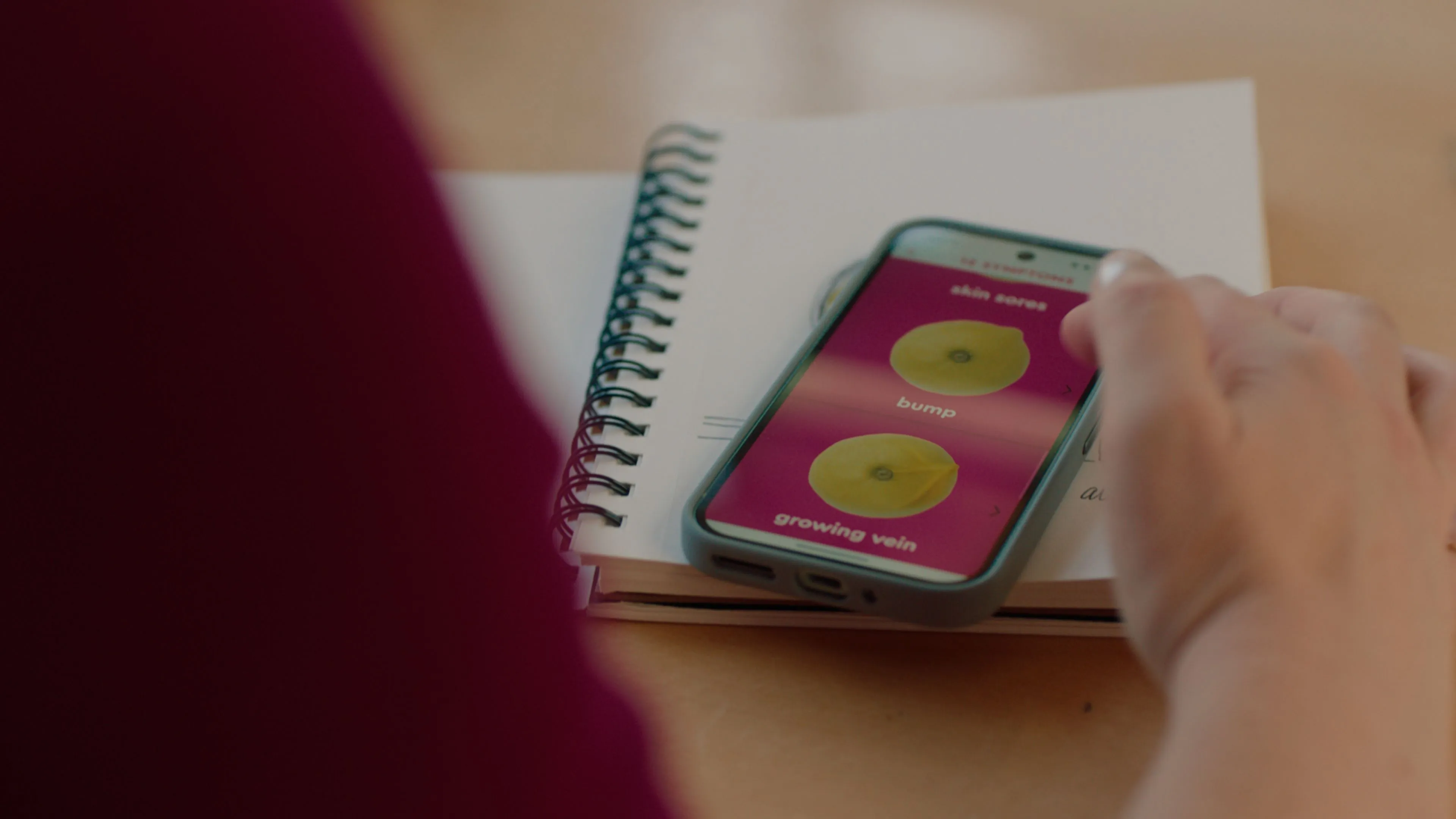 BILD 1 – 11_US_KNOW YOUR LEMONS_APP.jpg