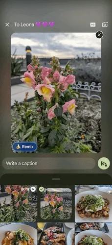 gif1.gif