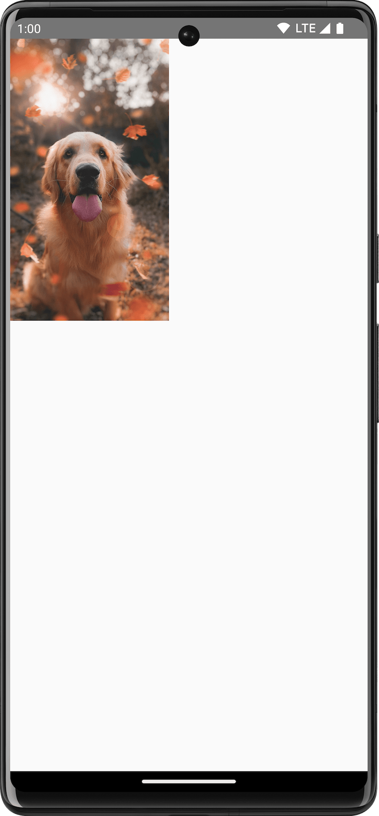 Ein mit Canvas gezeichnetes Bild eines Hundes