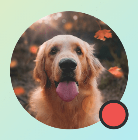 ‫Modifier.drawWithContent ב-Image שמציג אינדיקציה של עיגול, עם BlendMode.Clear ולא מוגדר CompositingStrategy