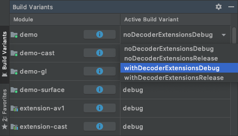 डेमो के लिए, `withDecoderExtensionsDebug` बिल्ड वैरिएंट चुनना