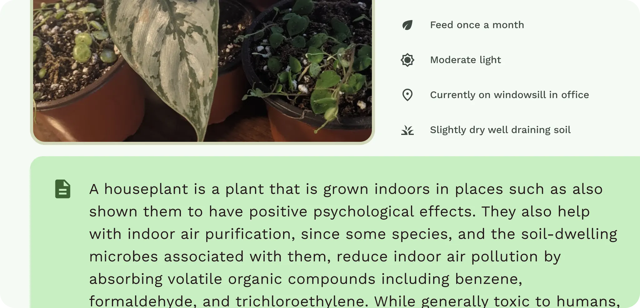 צפיפות בפריסה
טקסט.