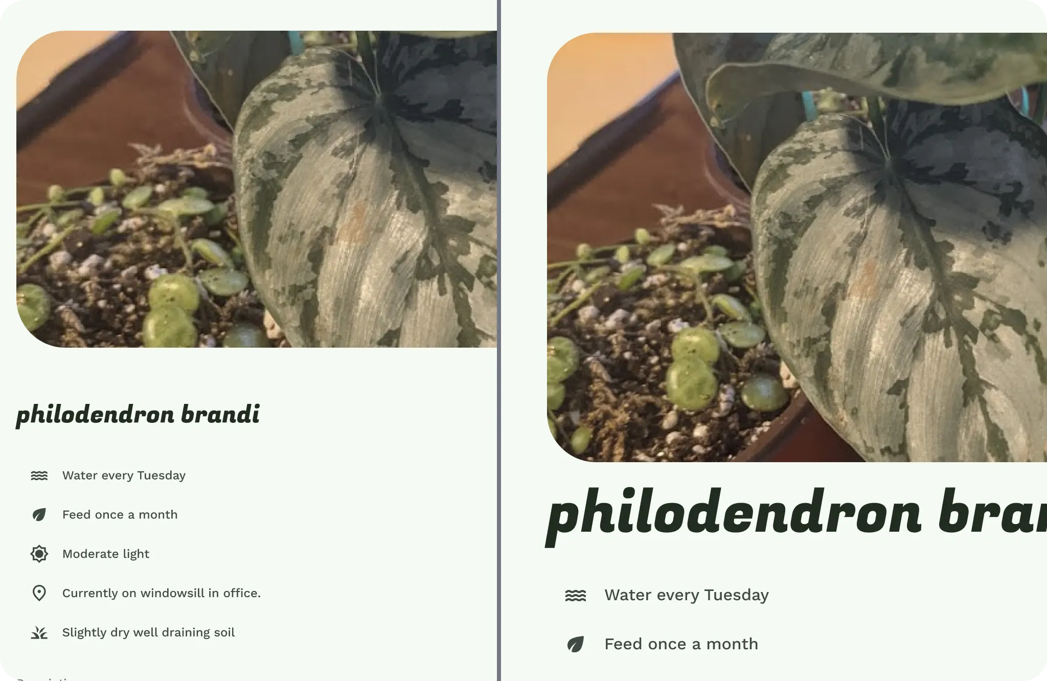 Ajuste de elementos de la IU y texto en pantallas más grandes