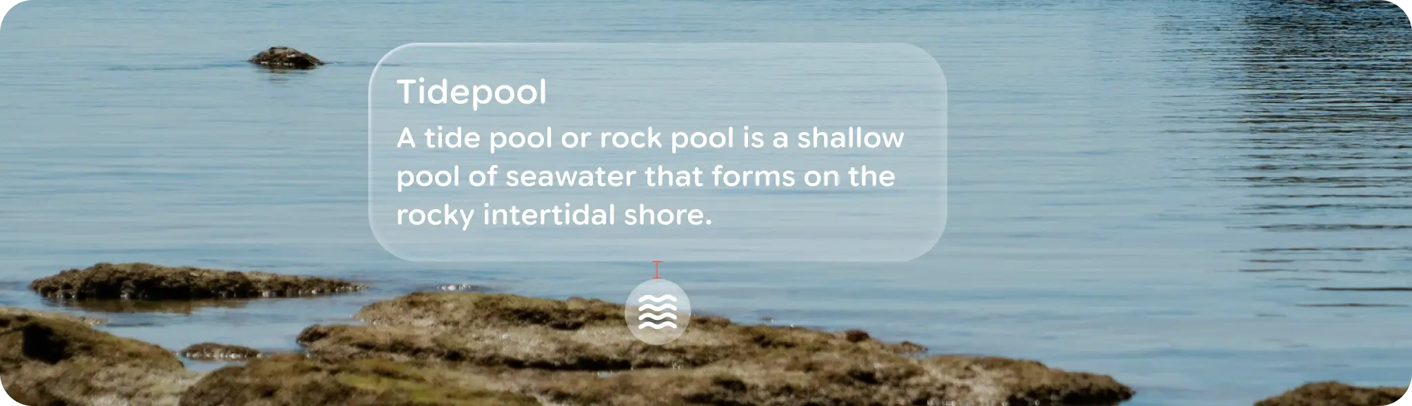 A default 12 dp padding for horizontal and vertical elements