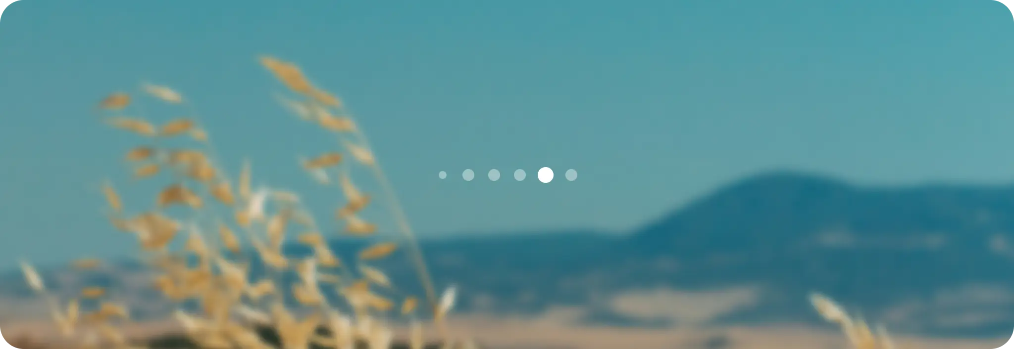 pager is composed of a row of indication dots in active and inactive
states.