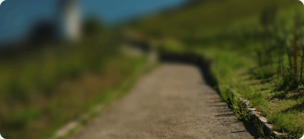 אפליקציה עם בידול XR היא אפליקציה שחוויית המשתמש שלה מתוכננת במיוחד ל-XR, והיא כוללת תכונות שזמינות רק ב-XR.