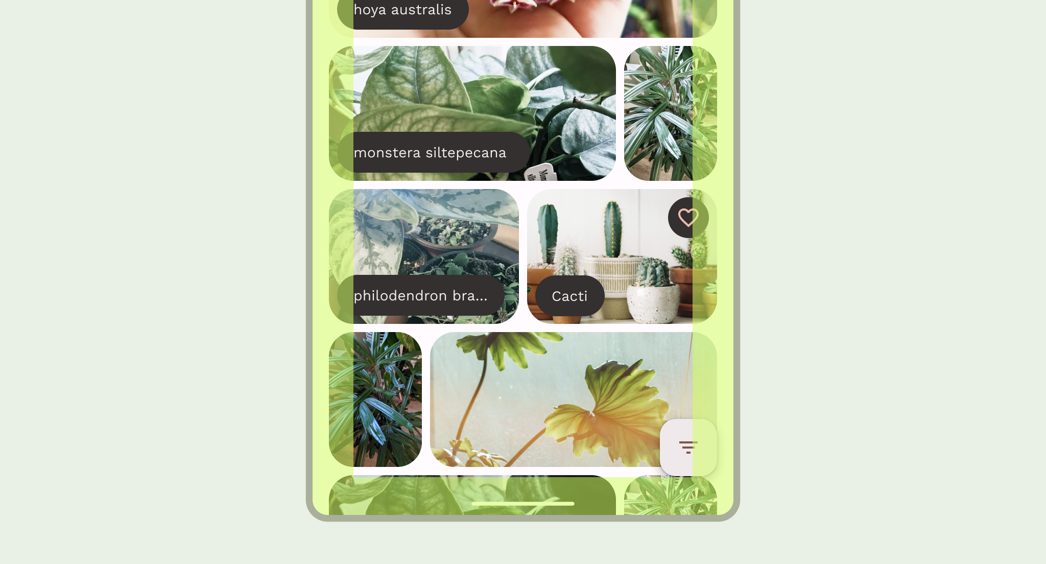 Obszar treści w aplikacji zawiera jej zawartość