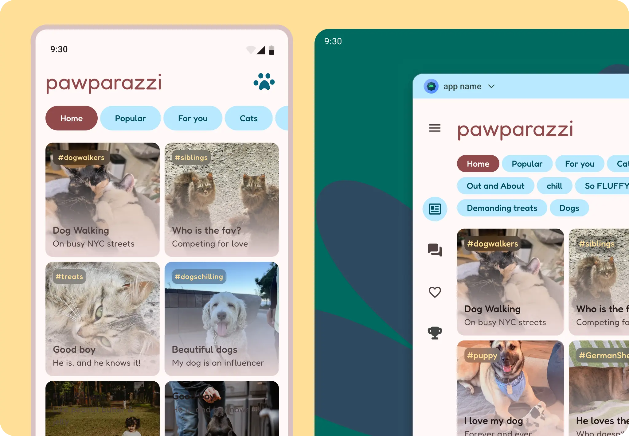 Estudo de caso da Pawparazzi