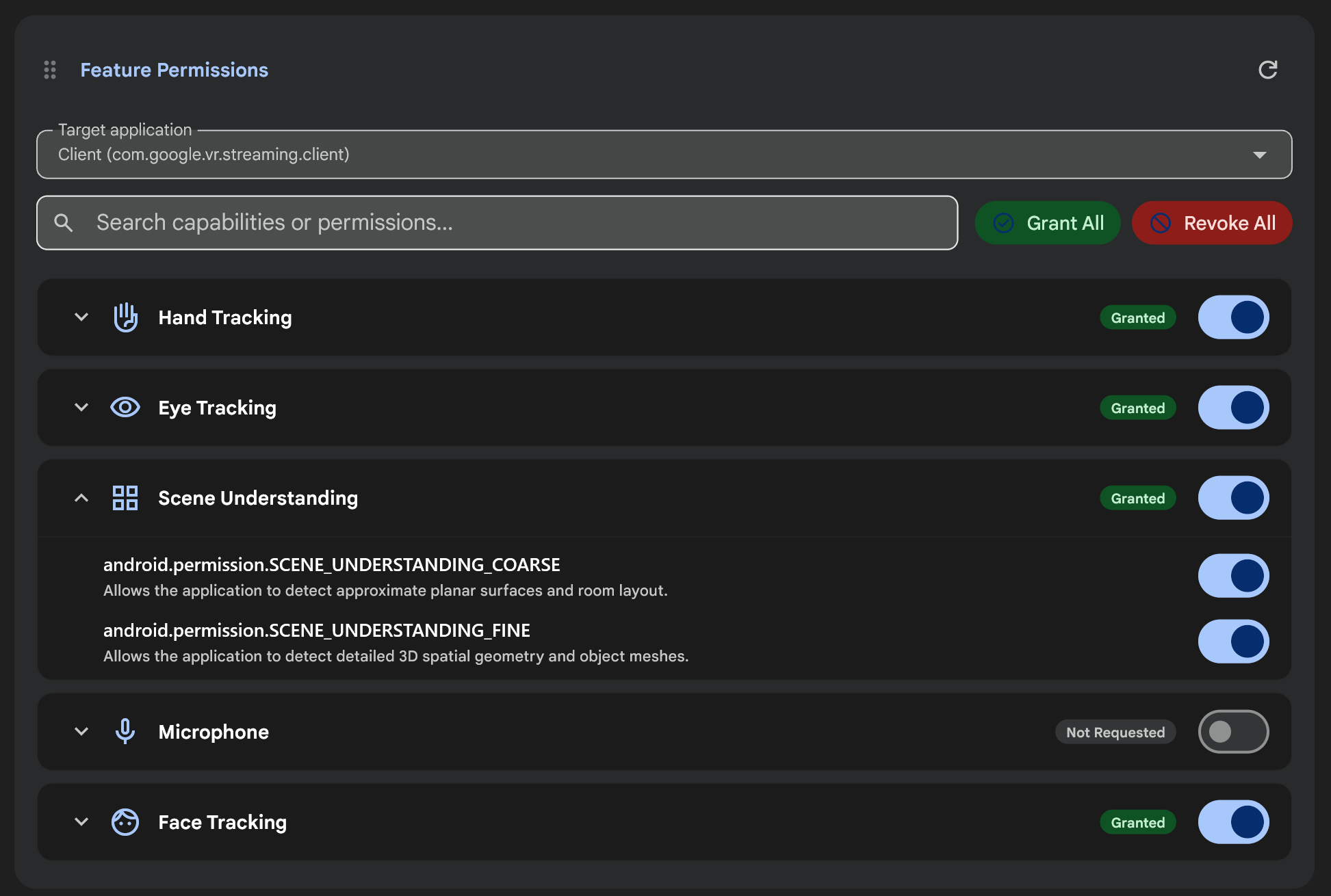 The Feature Permissions card in the Android XR Engine Hub