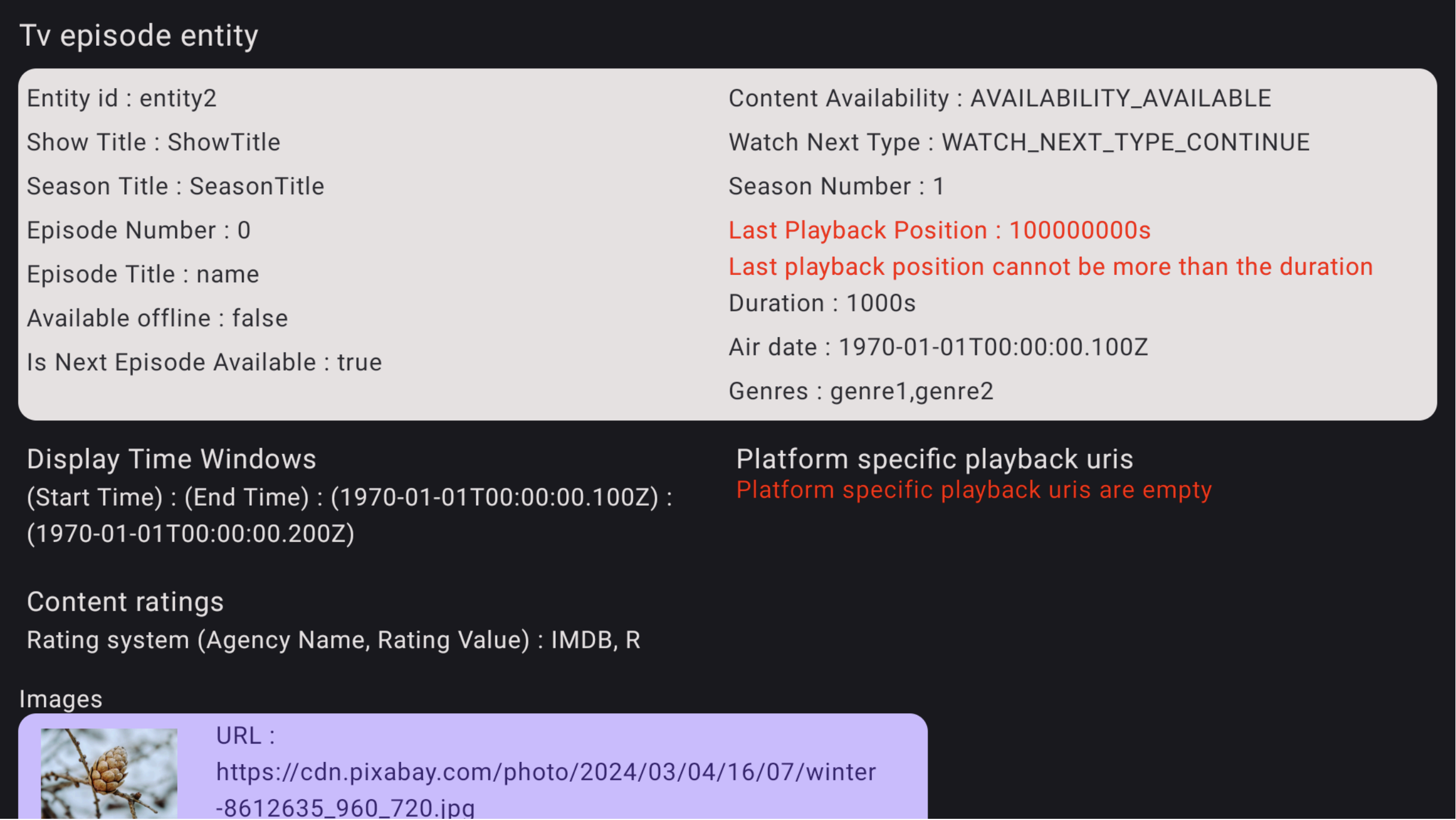 Dettagli sull'errore dell'app di verifica