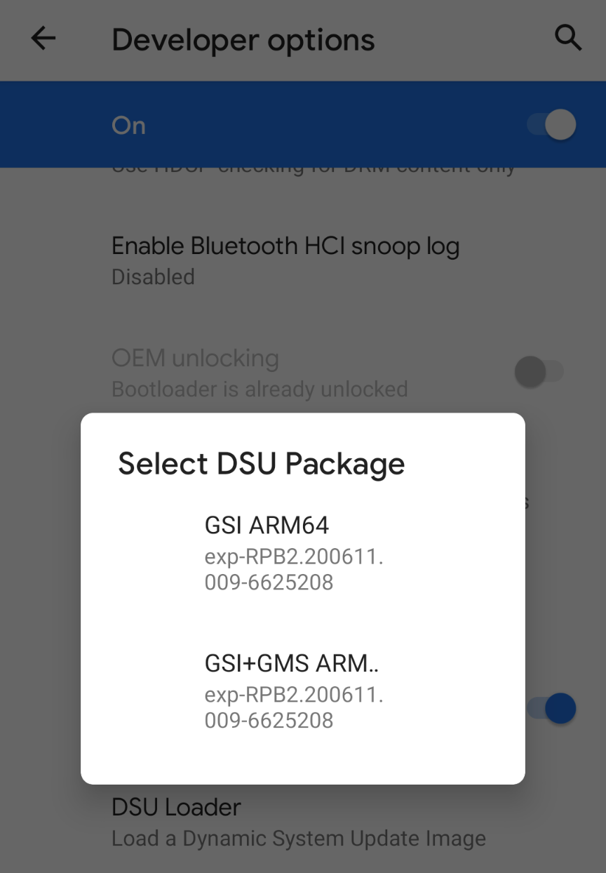 用來選取 GSI 的 DSU 載入器介面