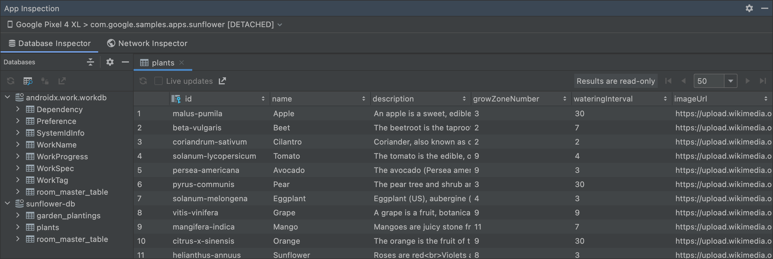 离线模式下的 Database Inspector
