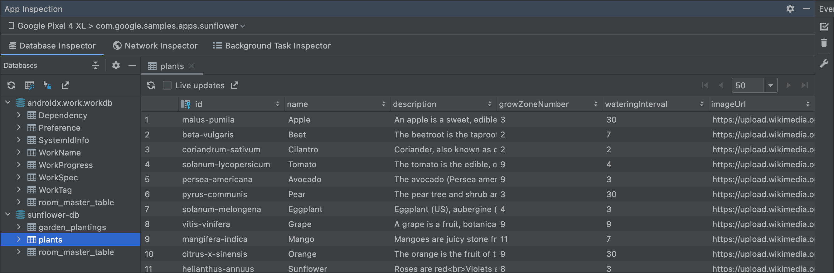 Database Inspector 窗口的屏幕截图。
